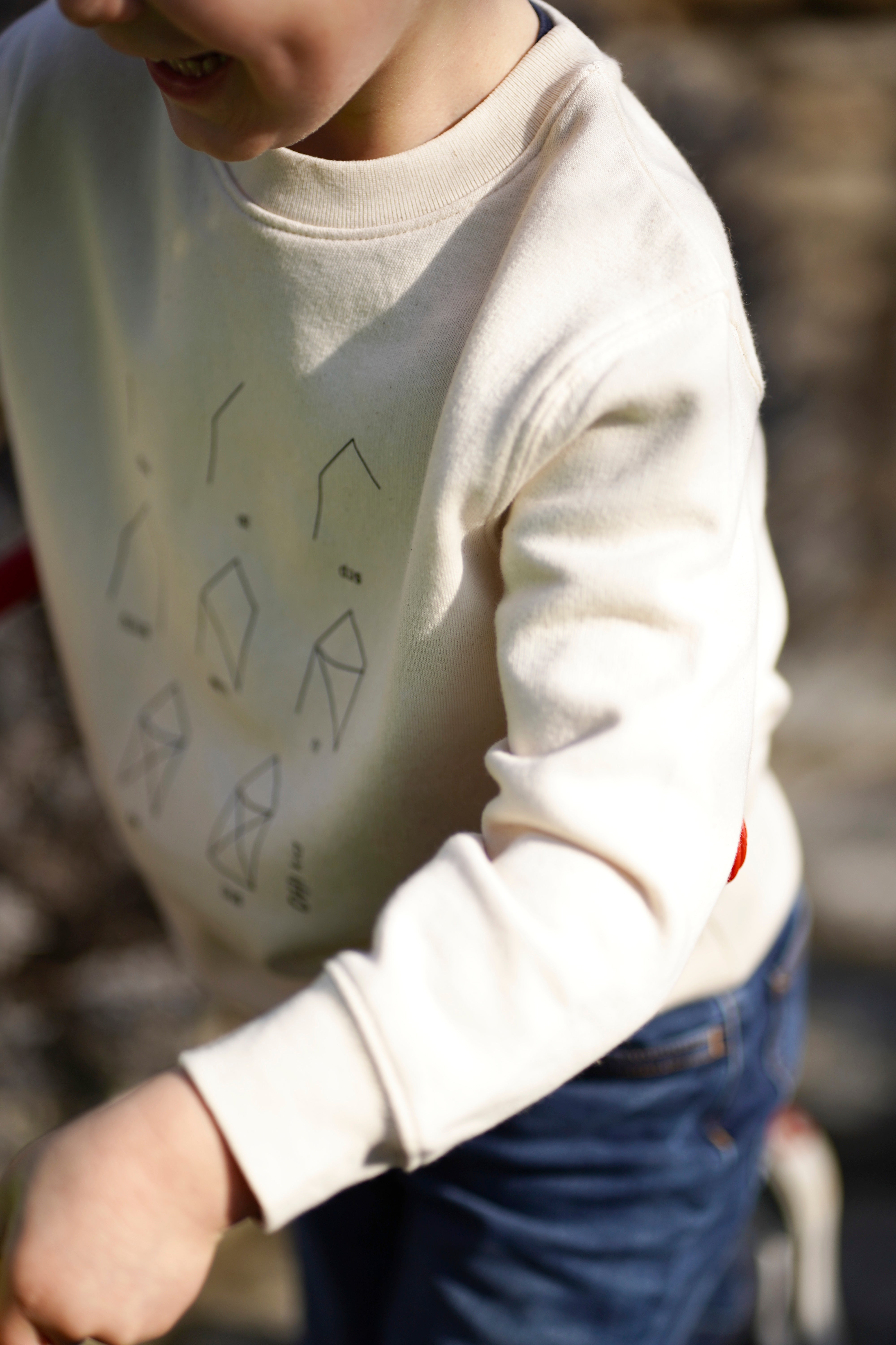Sweater "Haus vom Nikolaus"